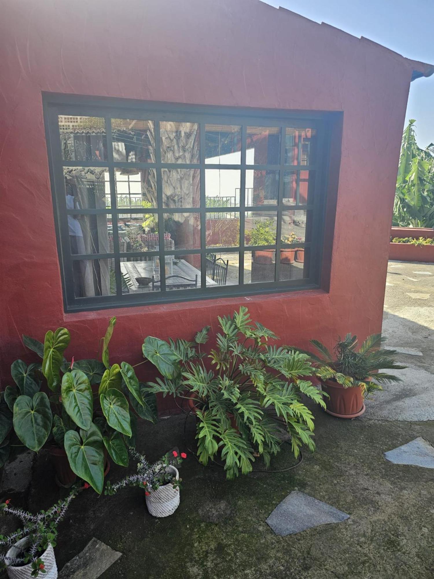 Casa Rural El Pinito Con Piscina Privada Ель-Пасо Екстер'єр фото