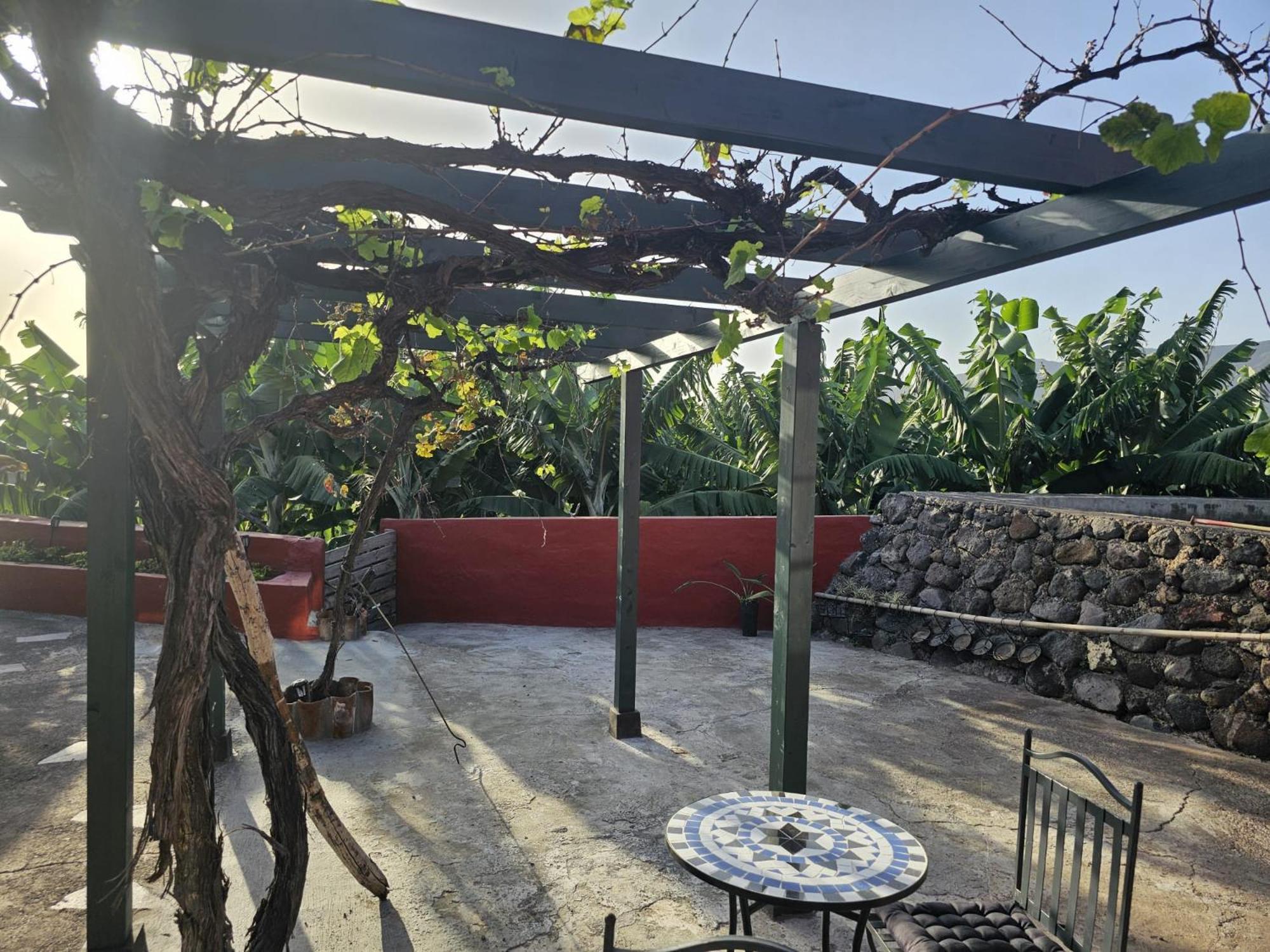 Casa Rural El Pinito Con Piscina Privada Ель-Пасо Екстер'єр фото